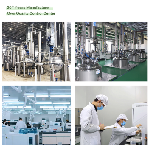 Натурален екстракт от борова кора за антиоксидантни ползи