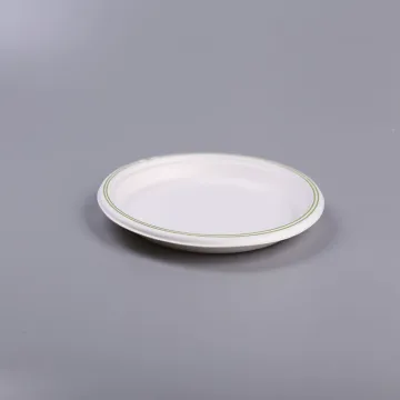Biodegradable disposable bagasse paper pulp food plate
