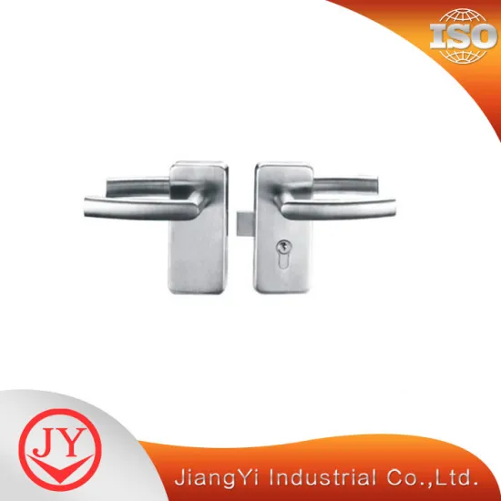 Frameless Double Swing Lock No Drill