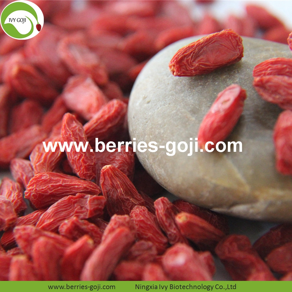 goji berry