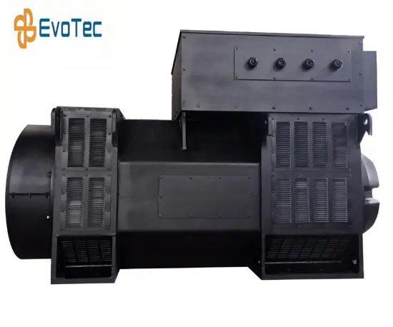 6 Pole Special Customized Generator