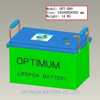 Deep Cylce Ups Lifepo4 Battery Pack 12v-100ah With Suitable Bms, Charger And Case