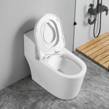 2 In 1 Family Toilet Seat - Slow Down Toilet Lid
