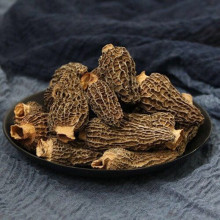 Organic Morchella esculenta Hot Sale Wholesale Morchella Esculenta Dried Morel Mushroom yang du jun