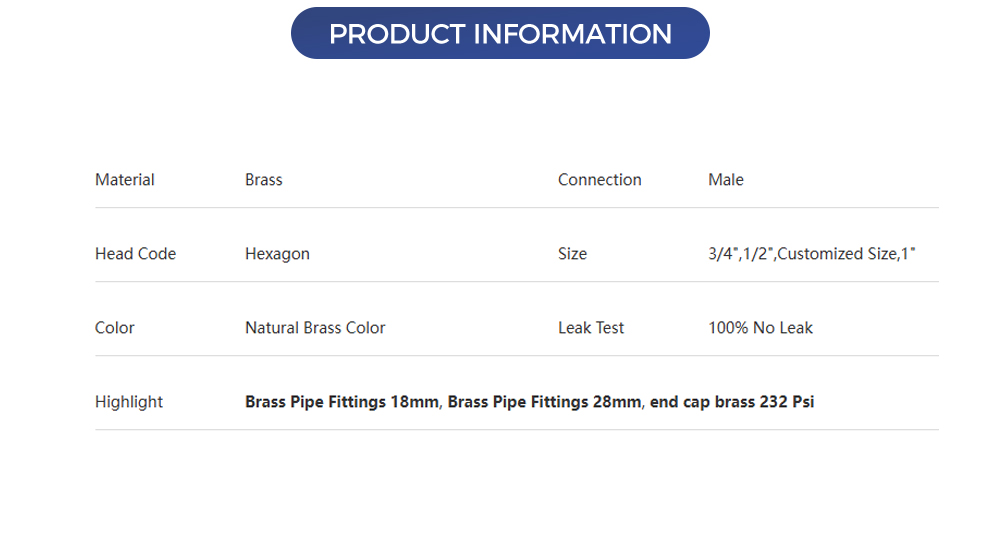 Brass-Pipe-Fittings10_02