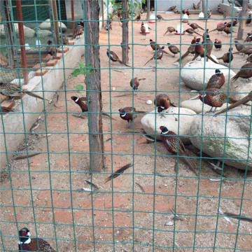2''X 2'' PVC Coated Security Euro Fence