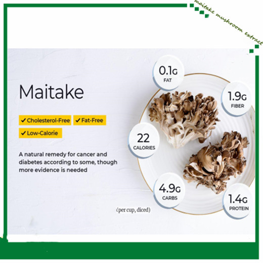 what is maitake mushroom extract used for