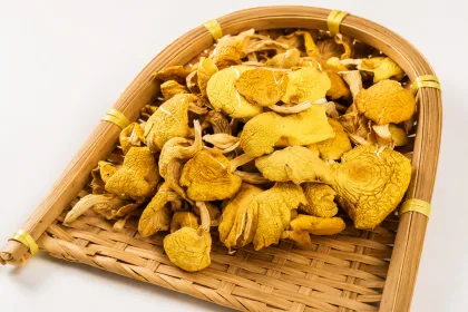 Elm Yellow Mushroom Foods