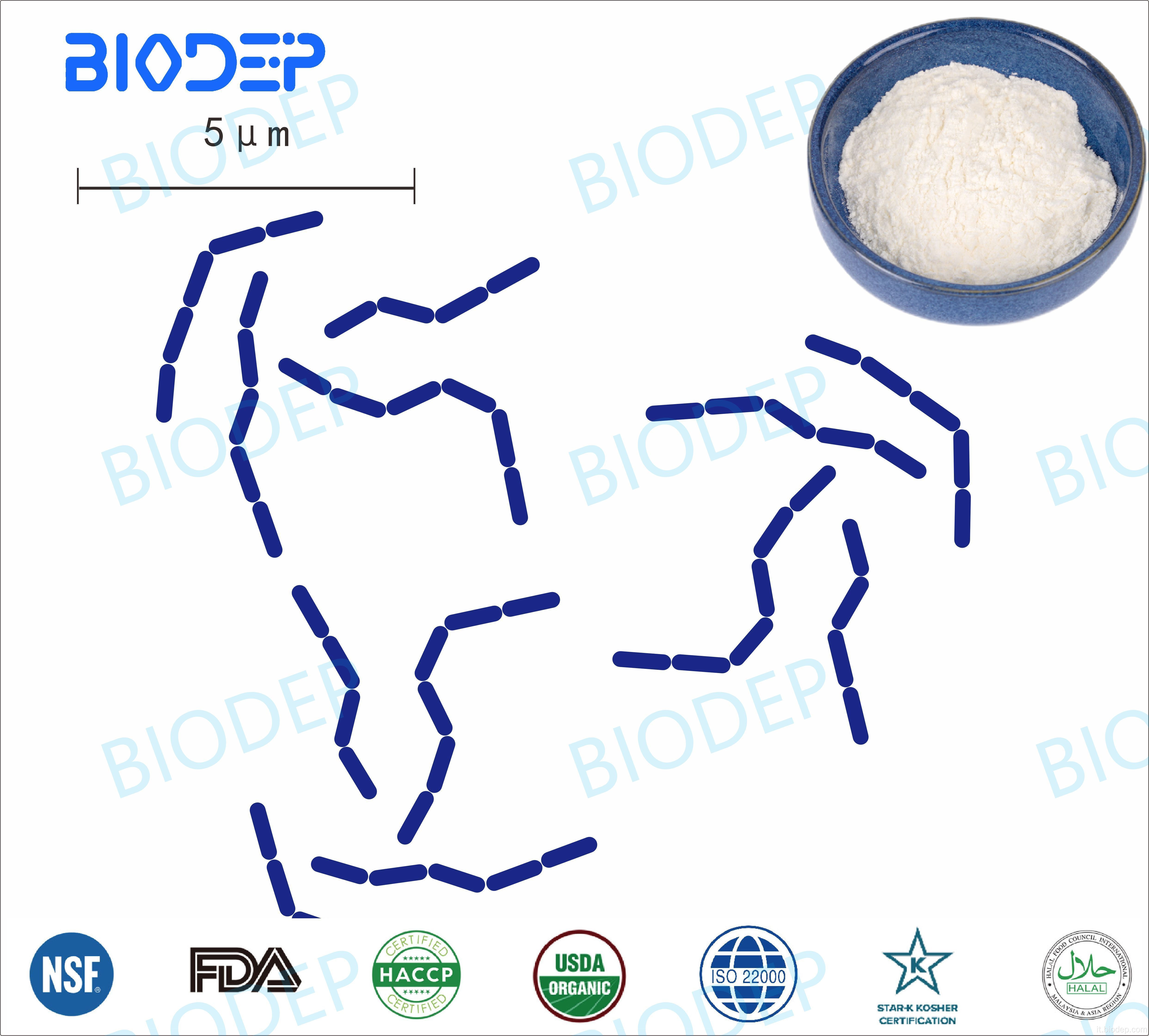 Probiotici di alta qualità Caspola per la salute L. paracasei