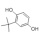 tert-Butylhydroquinone CAS 1948-33-0