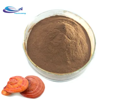SUPPLY Mushroom Extract Powder Lingzhi powder