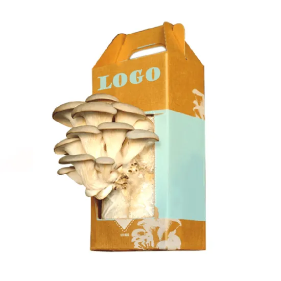 Biodegradable Paper Mushroom Grow Packaging Box