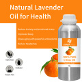 Citrus Garden Scent Oil Cold Pressing Citrus Junos Pupai Minyak Untuk Minyak Aromaterapi