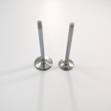 High Quality Engine Valves kits for land rover