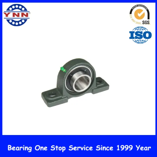 New Products and Top Level Pillow Block Bearing (UCP 205)