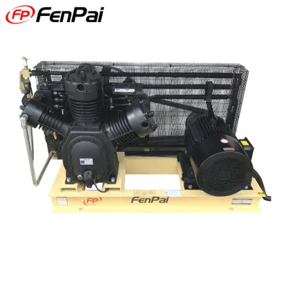 2021 High Pressure Air Compressor Piston Air-Compressors