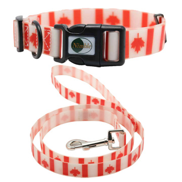 XS Grootte PVC Dog Collar met afgescheiden functie - Nieuwe aankomst aangepaste huisdierenbenodigdheden