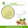 Anti-inflammatory Peanut Shell Extract Luteolin 98% Powder