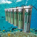 Roue motrice à puissance améliorée dotée d'une lumière de poisson d'intensité