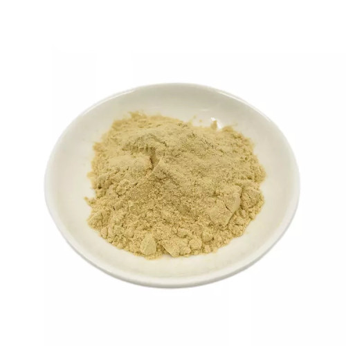 Oyster Extract Powder 80%Peptide for Health