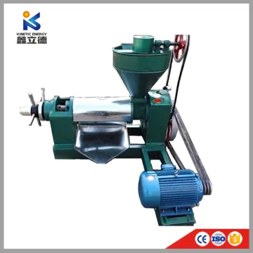 Small Cold Press Screw Oil Extraction Machine Groundnut Oil Making Machine