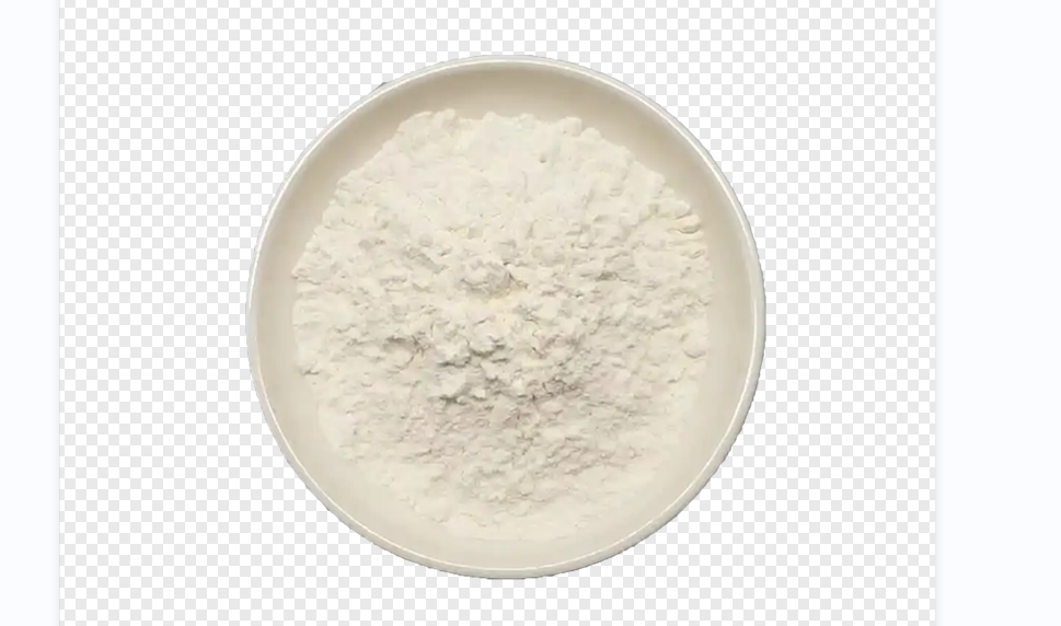 chondroitin sulfate powder