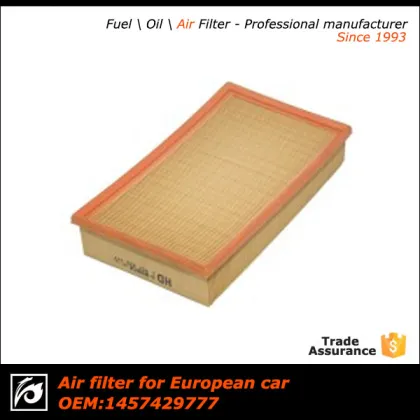 China auto air filter/car air filter/air filter