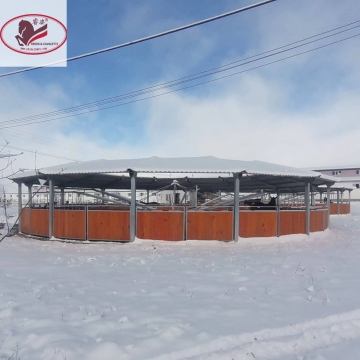 CE Certified Horse Walker Machine with Bamboo HDPE Fencing for Sale in Italy