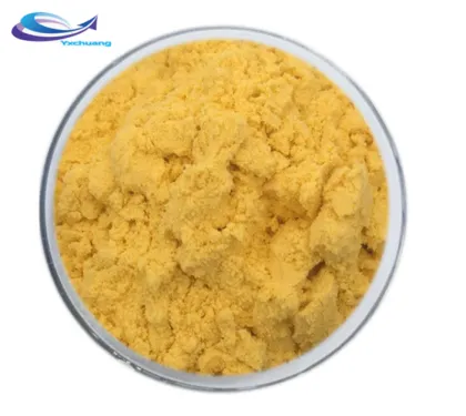 Natural organic Hippophae Rhamnoides Extract powder