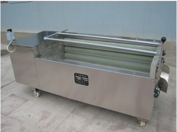Carrot Peeling and Washing Machine 