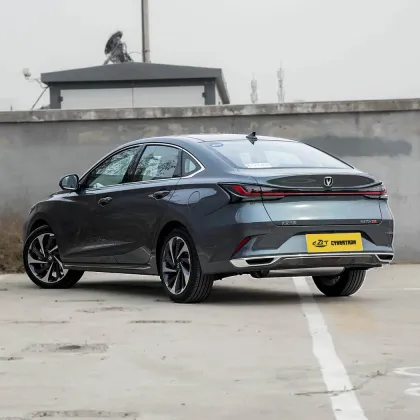 2023 Raeton Plus 1.5T DCT Flagship Model
