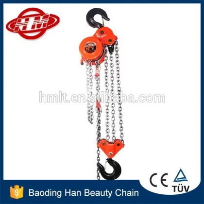 DHP type 5 ton electric chain host