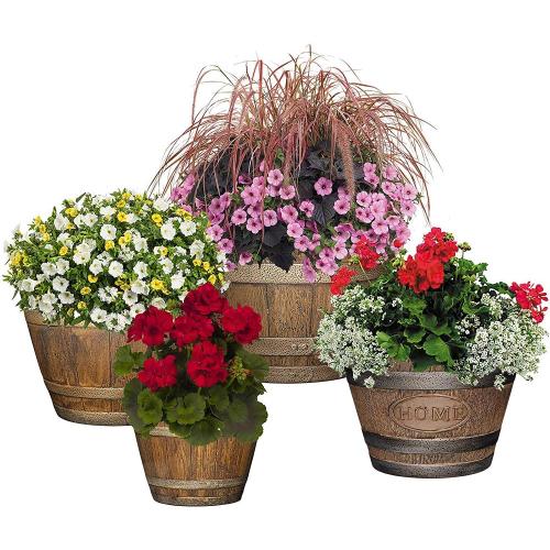 Best Plants for Pots All Year Classic Home and Garden Whiskey Barrel Supplier