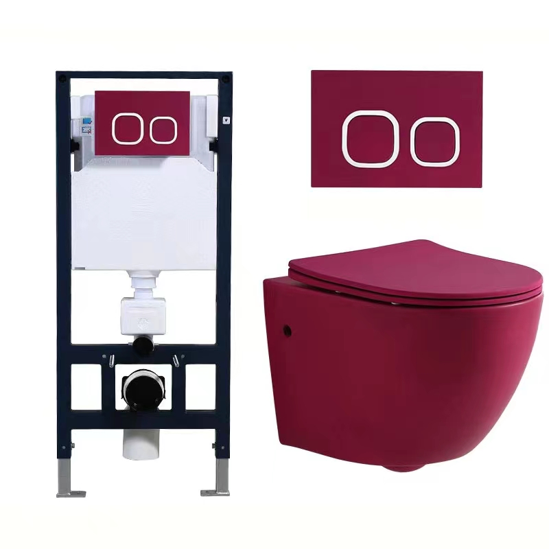 wall mount toilet