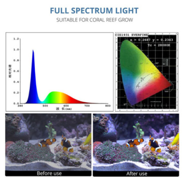 Korallenriff Sunrise Sunset Aqua -LED -Aquariumlicht