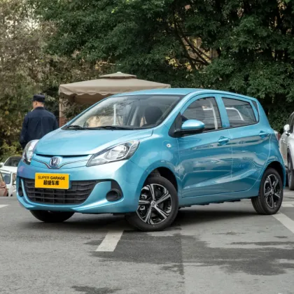 2023 E Star Changan Electric Mini Car