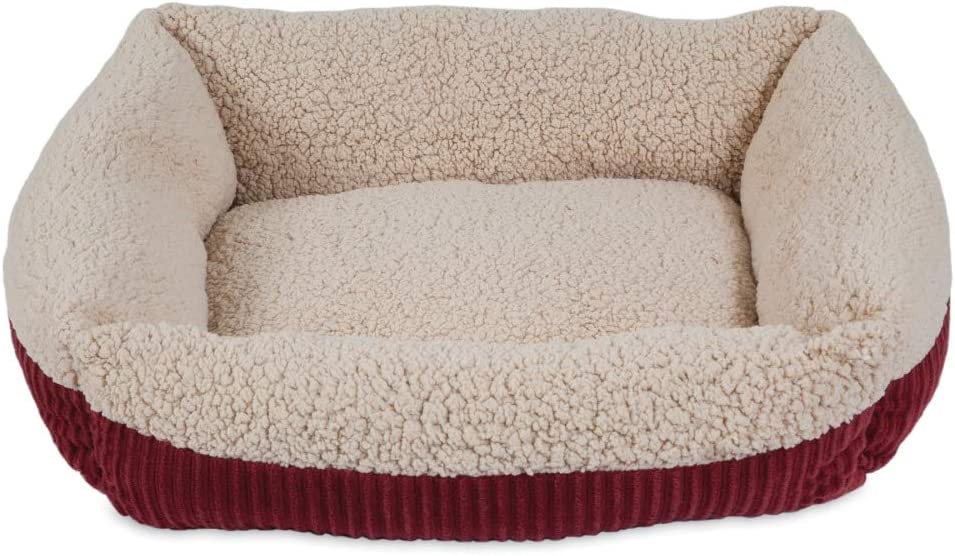 Dog Bed24 Jpg