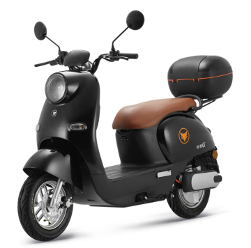 Professional Manufactured Top Quality 1000W Battery Powered Electric Moped for Adults