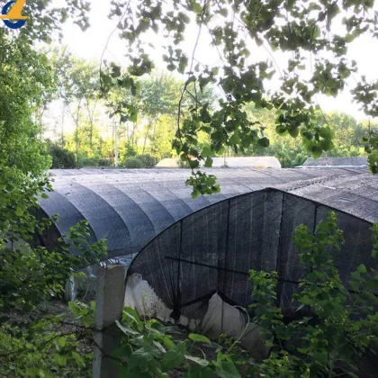 Privacy Fence Winds Screen Mesh Roll