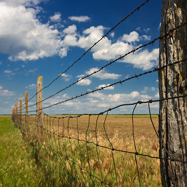 High Tension Military Protecting Barbed Wire Fence