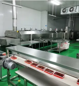 Tunnel Liquid Nitrogen Freezing System for Food -196°C