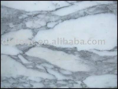 Arabescato Corchia white marble slab