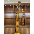 Spruce Maple selecionado Nice Flamed Acoustic 4/4 Violino