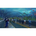 100% Raw Material Lucite Acrylic Aquarium Tunnel