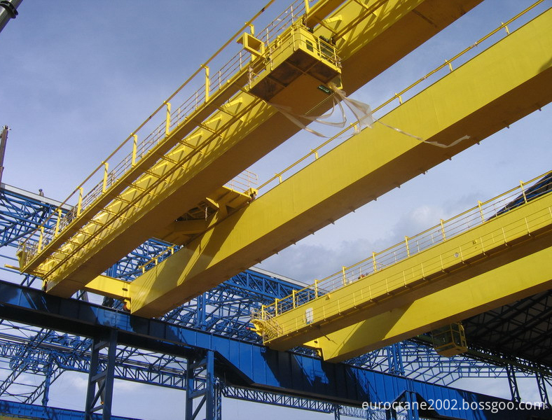 Single girder overhead crane 5t