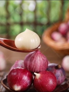 Medicinal Dietary Single-clove Garlic