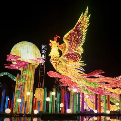 Phoenix roosts in the Wutong·Oriental Qiyun Lantern Invitation