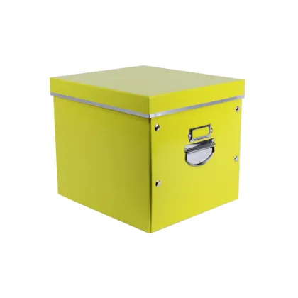 APEX Waterproof Cardboard Storage Bins Boxes With Handle