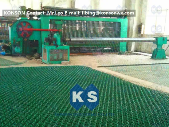 High Zinc Electro Galvanizing Pvc And Pe Coating Wire Mesh Fence Hexagonal Wire Netting