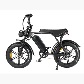 20 Inch Fat Tire 2000W 48V 40AH Electric Bike for Off-Road and City Cycling